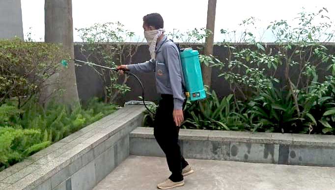 Pest Control Service kolkata