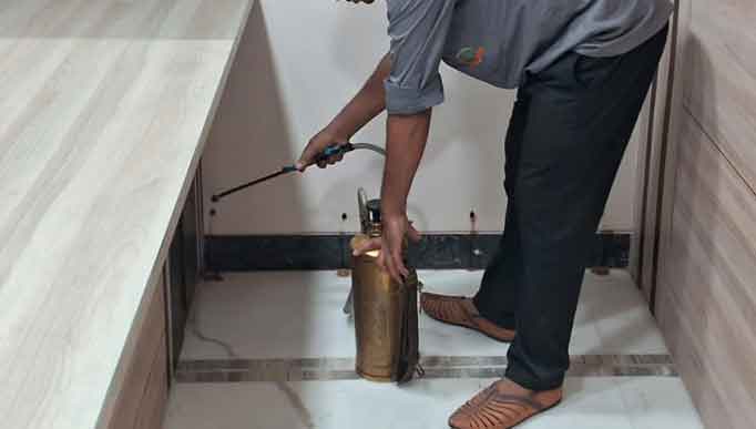 pest control company in Kolkata